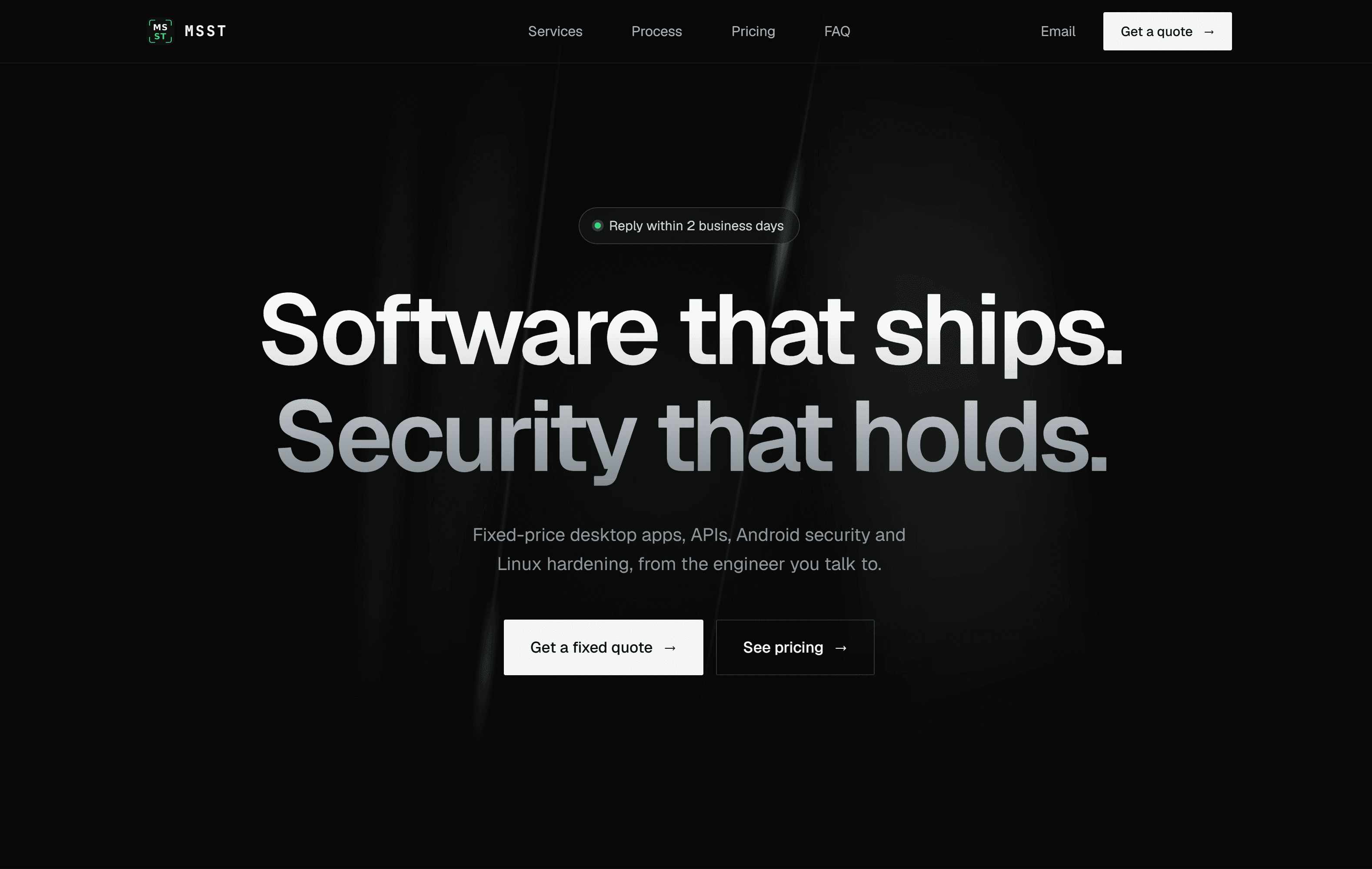 MSST - A Security Firm